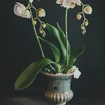 Appartamento Altbauloft Im Herzen Berlins Berlino