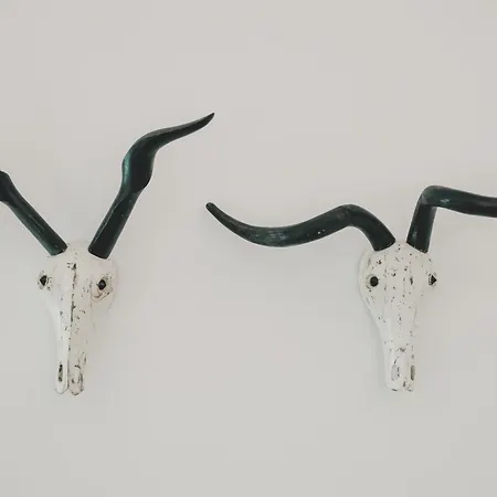 Altbauloft Im Herzen Berlins Berlin