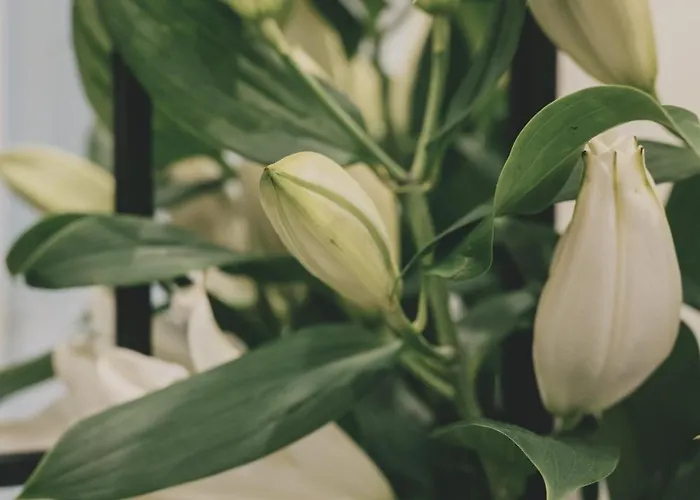 Altbauloft Im Herzen Berlins Lägenhet Berlin