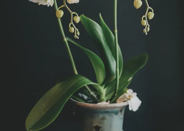 Lägenhet Altbauloft Im Herzen Berlins Berlin