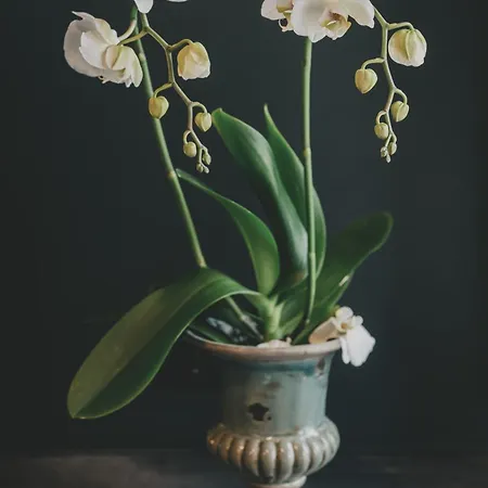 דירה Altbauloft Im Herzen Berlins ברלין