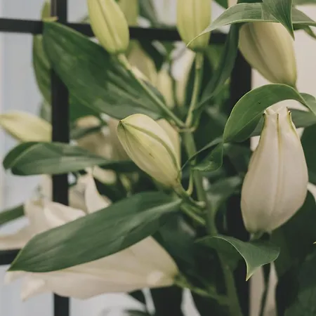 Altbauloft Im Herzen Berlins Apartament Berlin